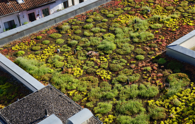 AdobeStock_283255773-scaled